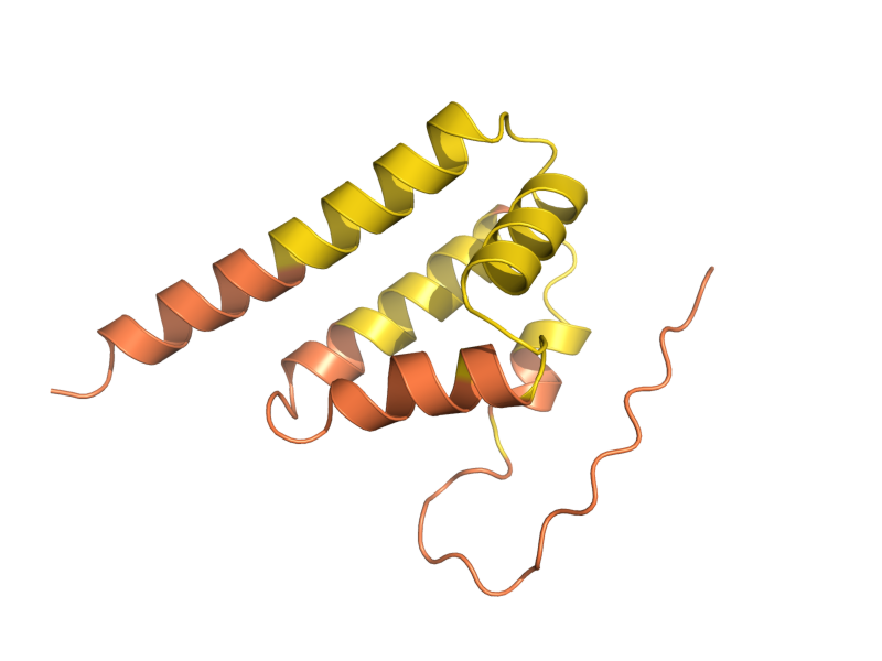 AlphaFold predicted structure of YLR236C