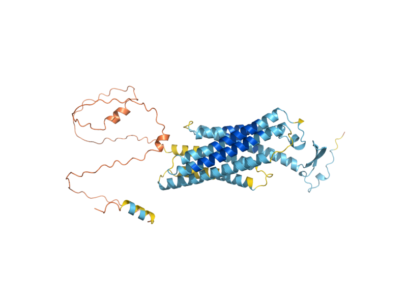 AlphaFold predicted structure of STE2
