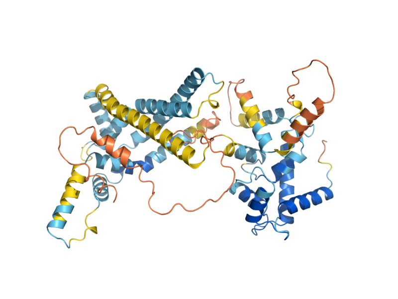 AlphaFold predicted structure of SAL1