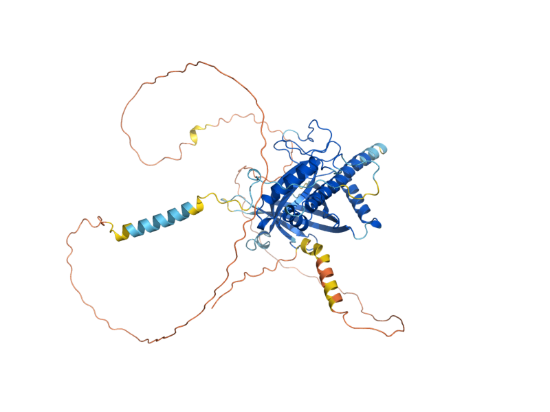 AlphaFold predicted structure of CET1