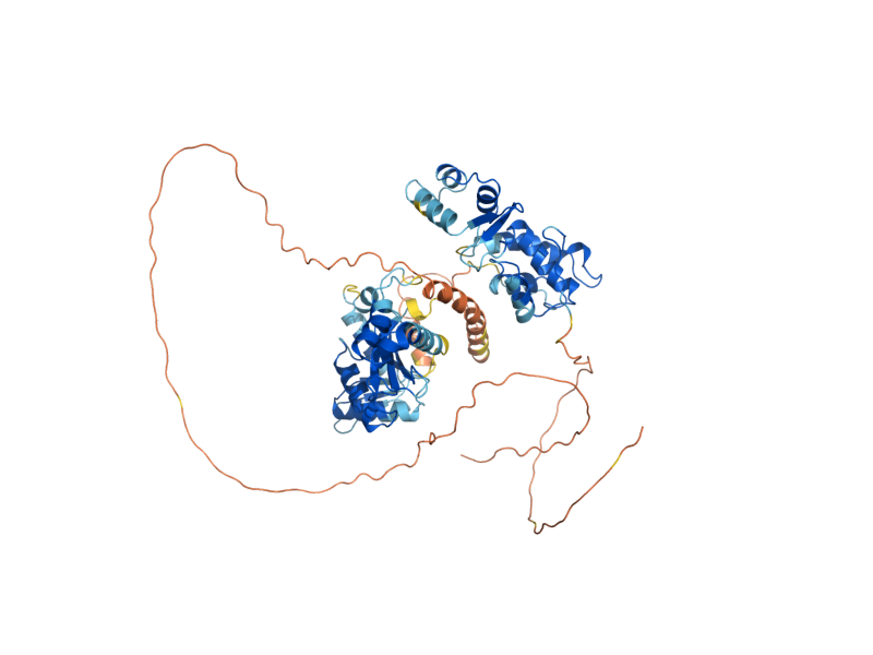 AlphaFold predicted structure of FOB1