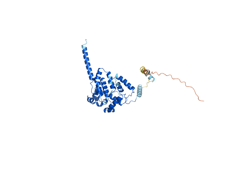 AlphaFold predicted structure of COQ4