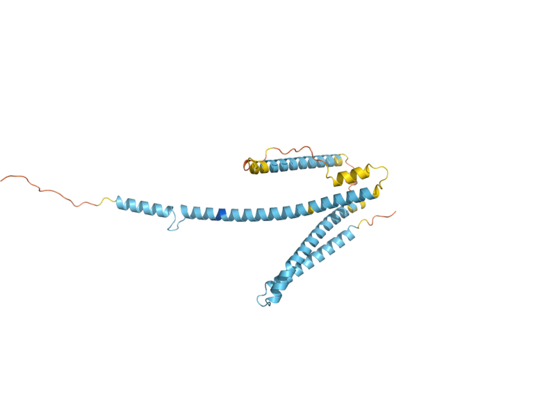 AlphaFold predicted structure of THP2