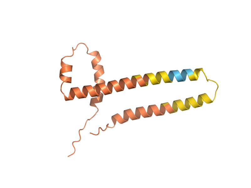 AlphaFold predicted structure of YLR302C