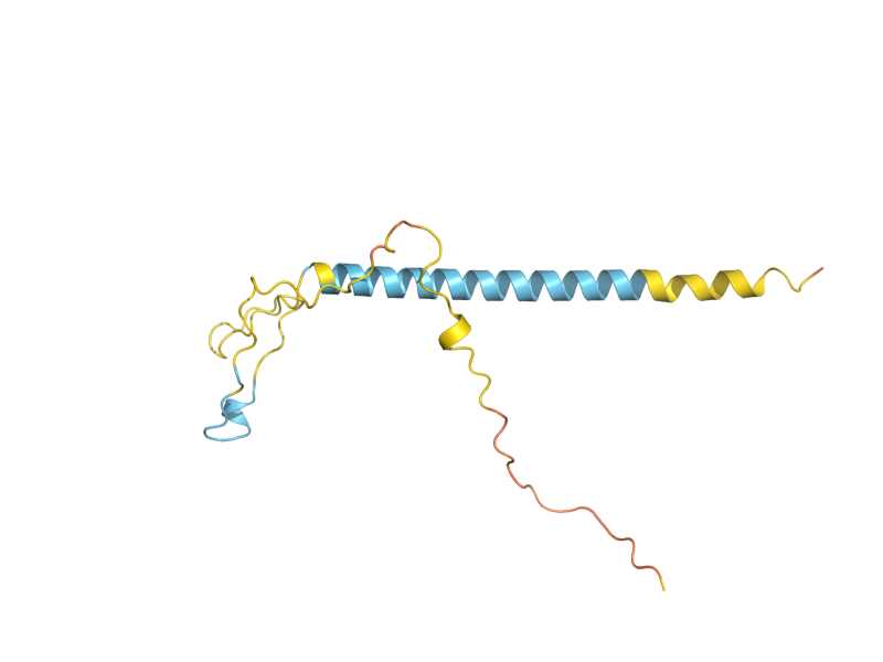 AlphaFold predicted structure of DIF1