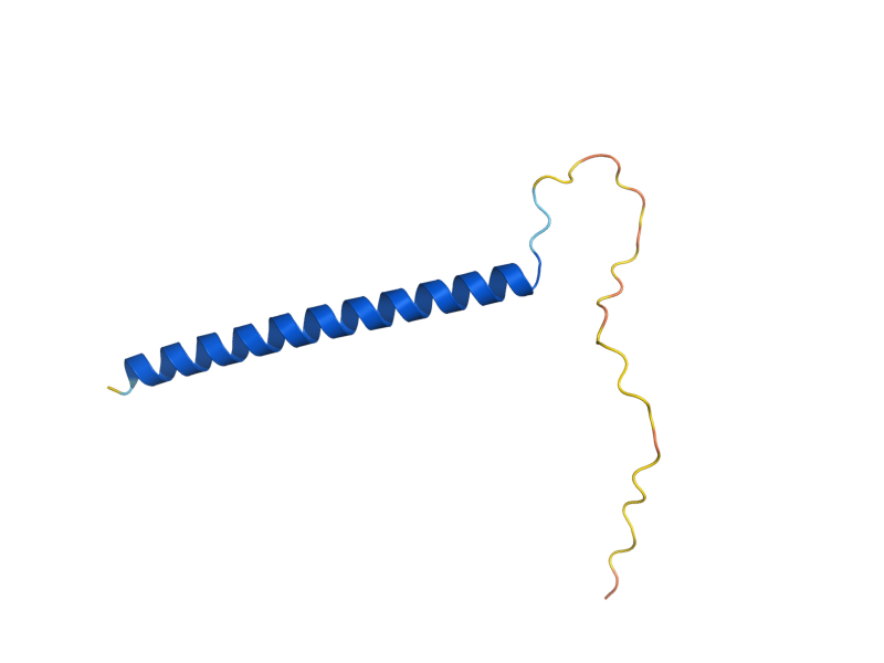 AlphaFold predicted structure of BIL1
