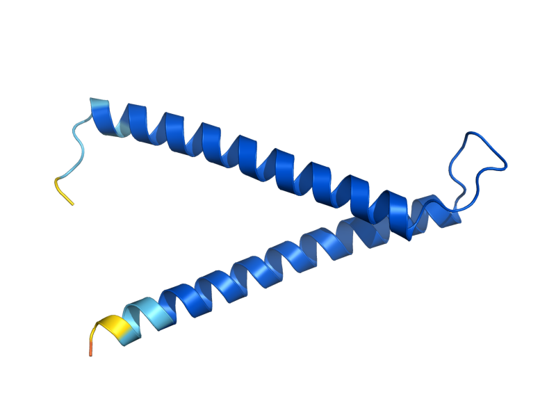 AlphaFold predicted structure of TIM9