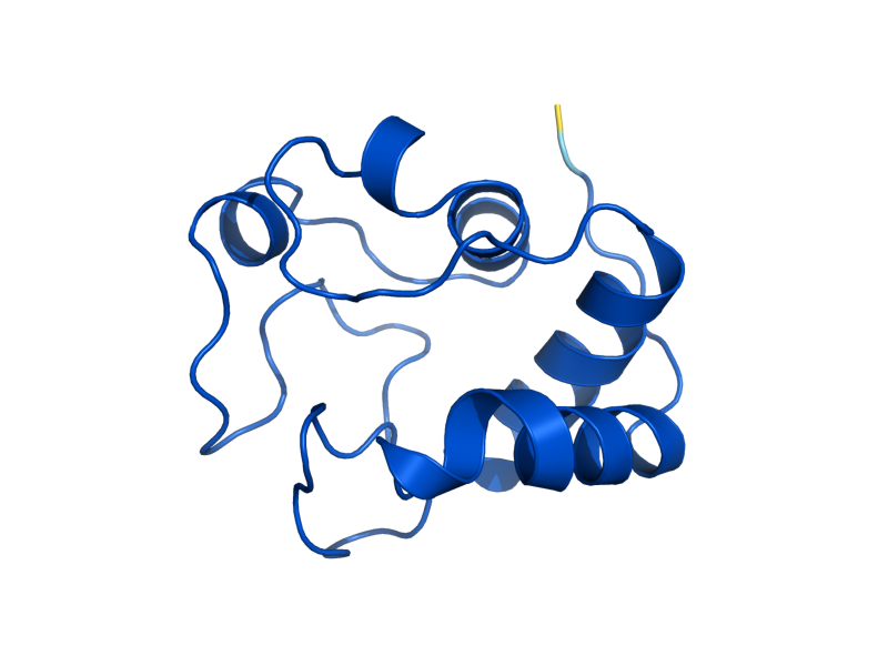 AlphaFold predicted structure of CYC1