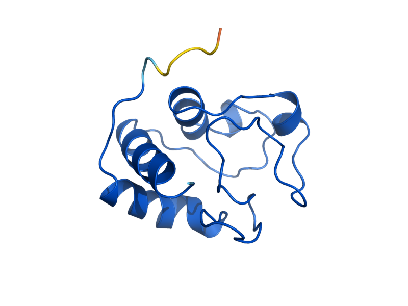 AlphaFold predicted structure of CYC7