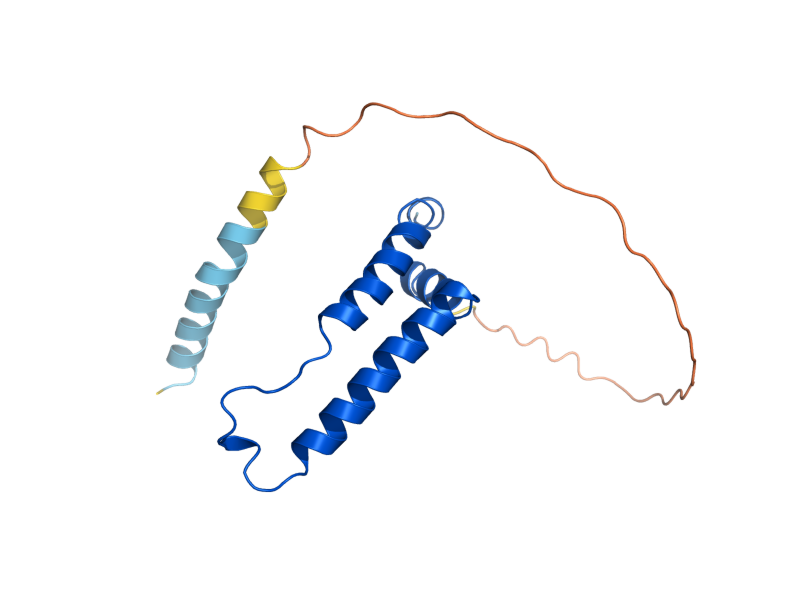 AlphaFold predicted structure of QCR6
