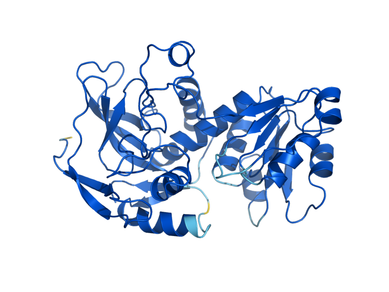 AlphaFold predicted structure of ADH1