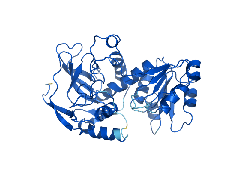 AlphaFold predicted structure of ADH2