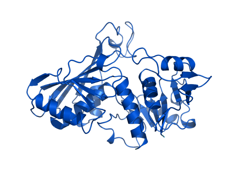 AlphaFold predicted structure of TDH2