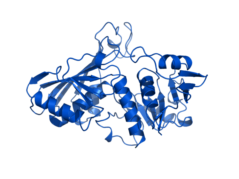 AlphaFold predicted structure of TDH3