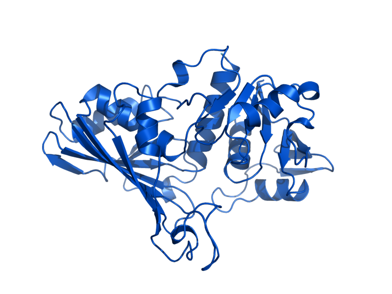AlphaFold predicted structure of TDH1