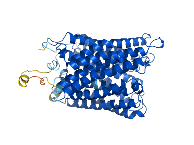 AlphaFold predicted structure of COX1