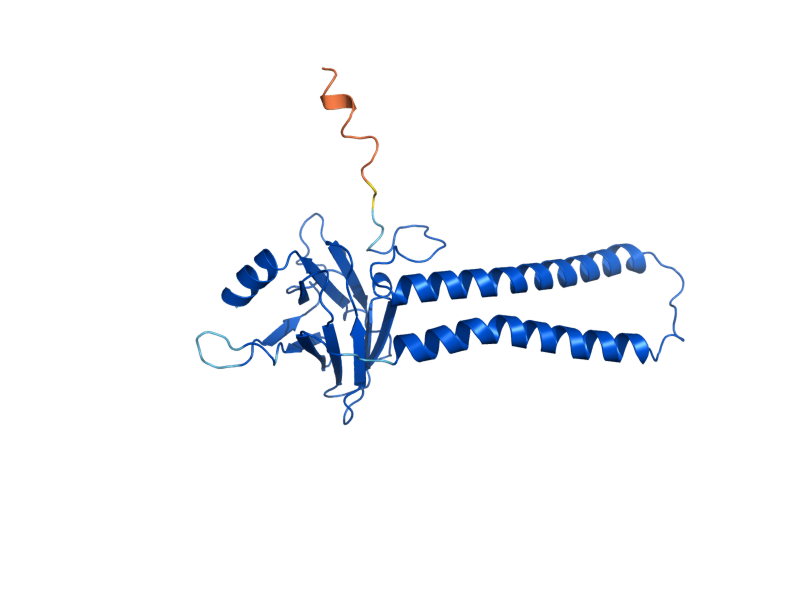 AlphaFold predicted structure of COX2