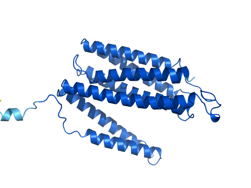 AlphaFold predicted structure of COX3
