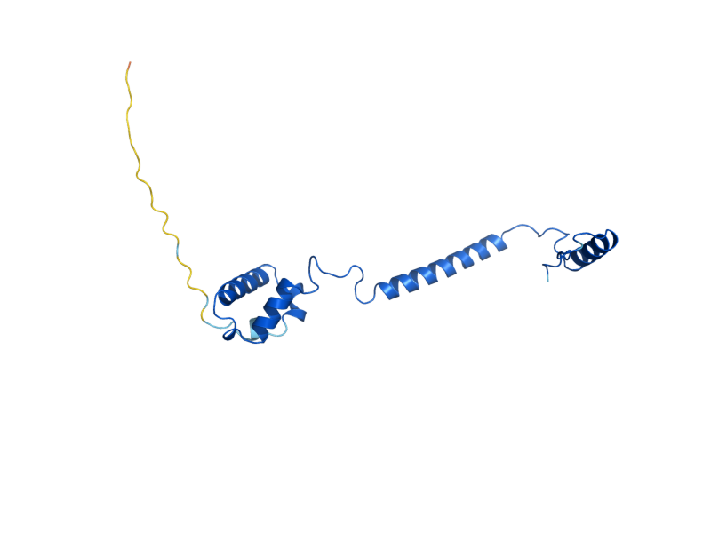 AlphaFold predicted structure of COX5A