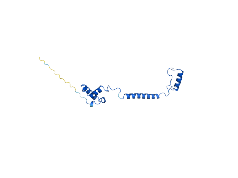 AlphaFold predicted structure of COX5B