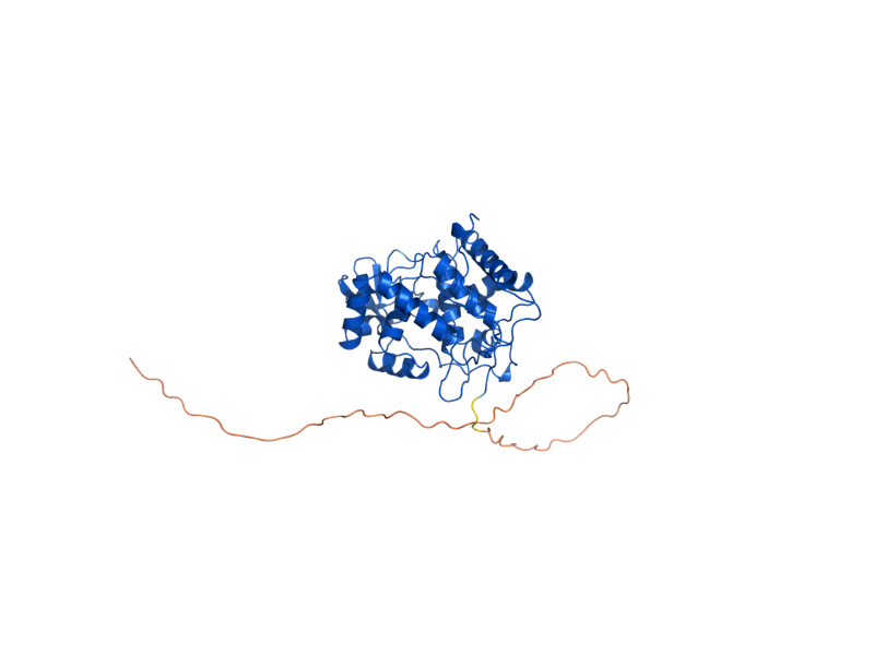 AlphaFold predicted structure of CCP1