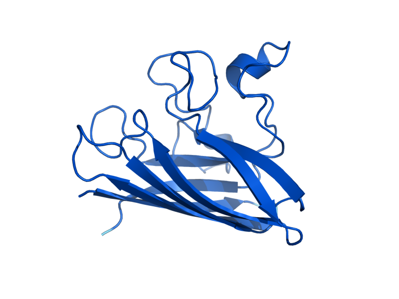 AlphaFold predicted structure of SOD1