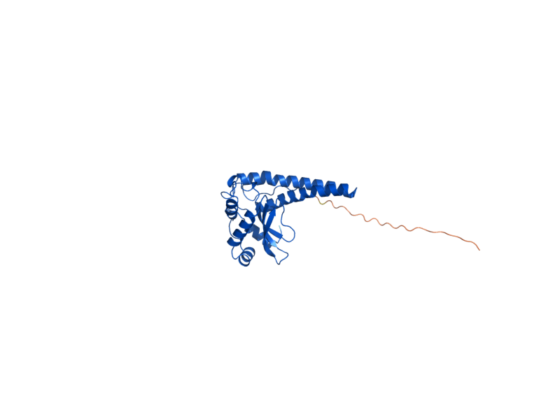 AlphaFold predicted structure of SOD2