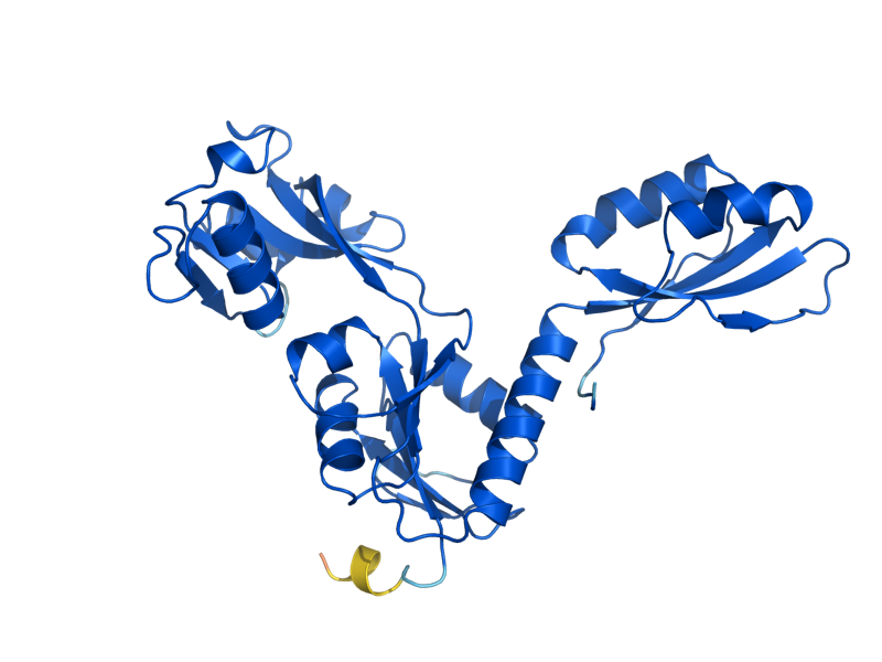 AlphaFold predicted structure of HIS1