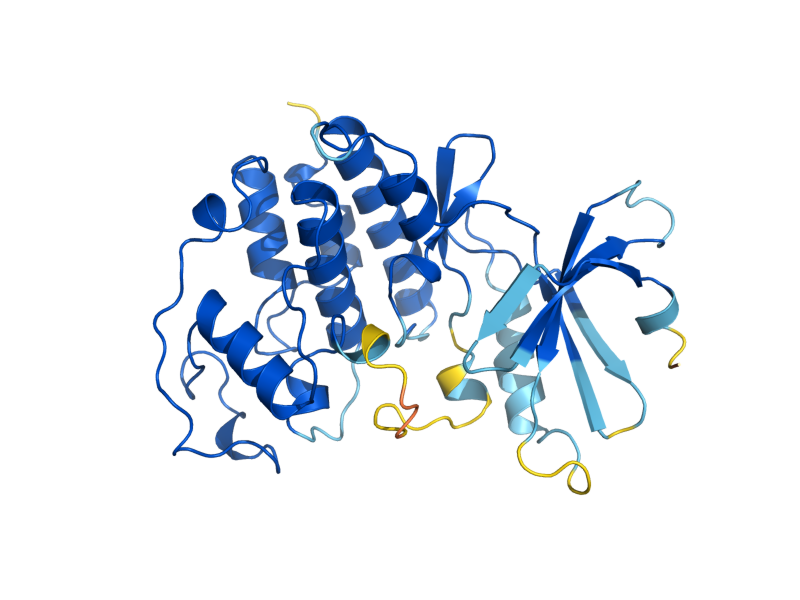 AlphaFold predicted structure of CDC28