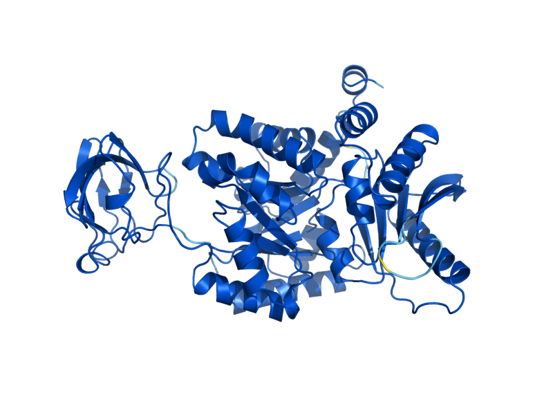AlphaFold predicted structure of CDC19