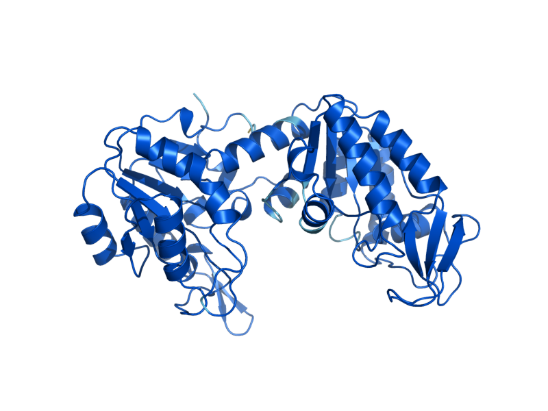 AlphaFold predicted structure of PGK1