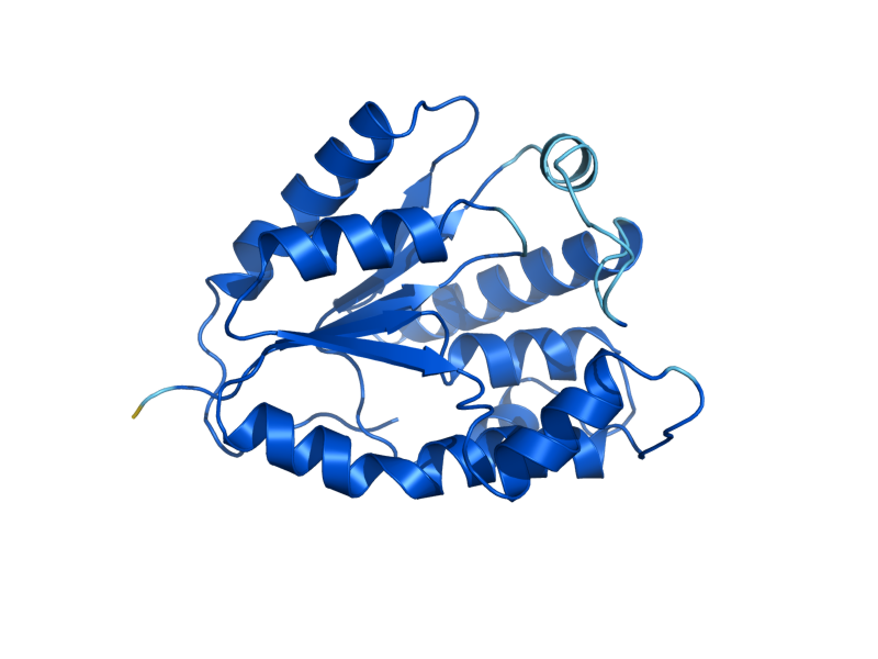 AlphaFold predicted structure of CDC8
