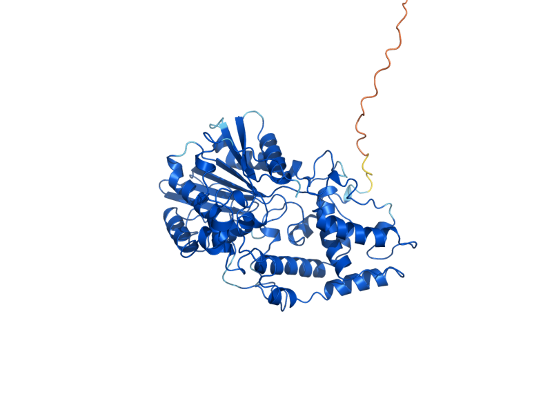 AlphaFold predicted structure of PHO5