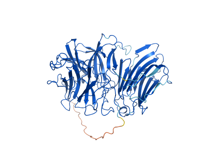 AlphaFold predicted structure of SUC2