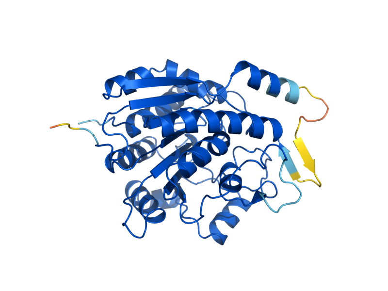 AlphaFold predicted structure of CAR1