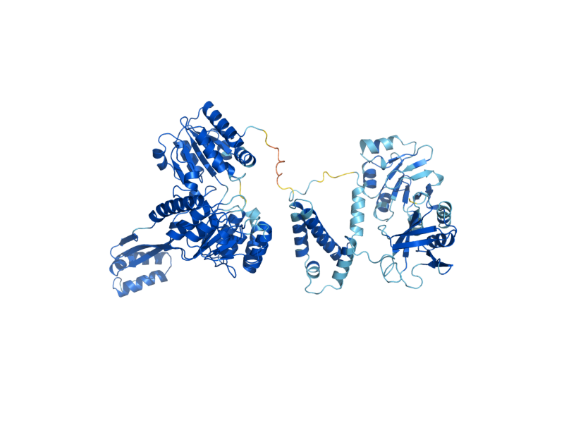 AlphaFold predicted structure of HIS4