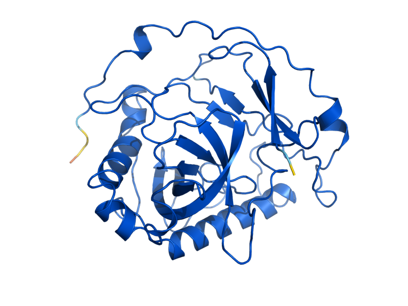 AlphaFold predicted structure of IPP1