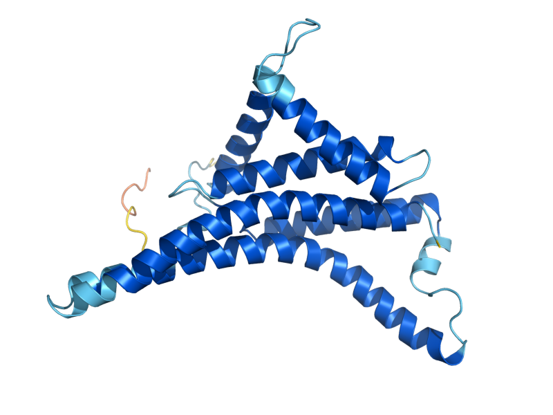 AlphaFold predicted structure of ATP6
