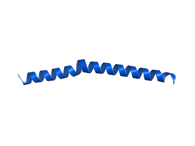 AlphaFold predicted structure of ATP8