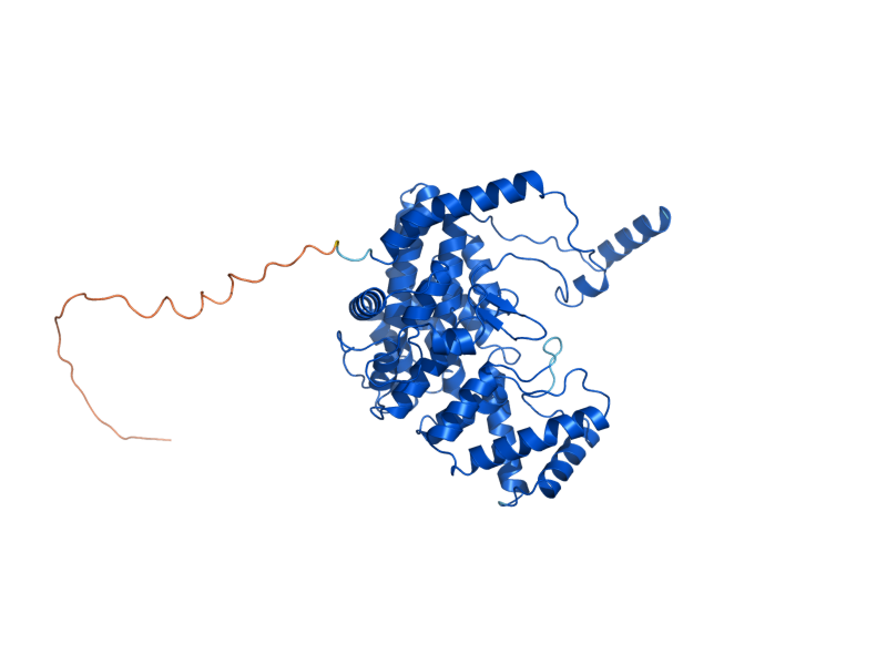 AlphaFold predicted structure of CIT1