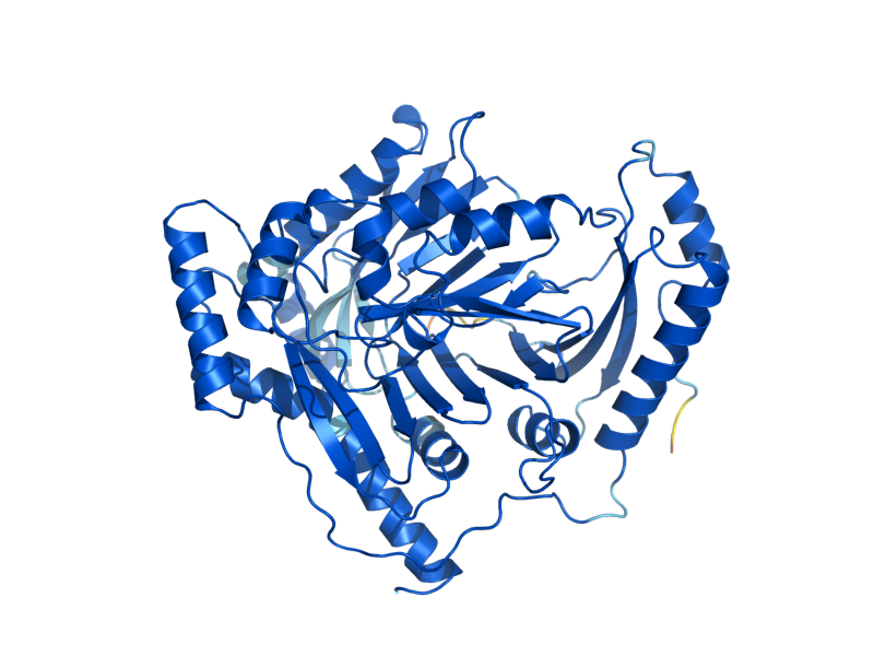 AlphaFold predicted structure of TRP2