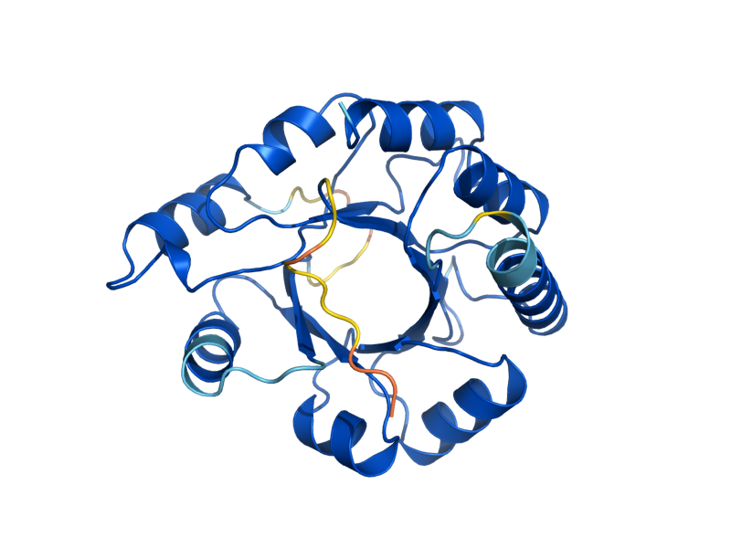 AlphaFold predicted structure of TRP1