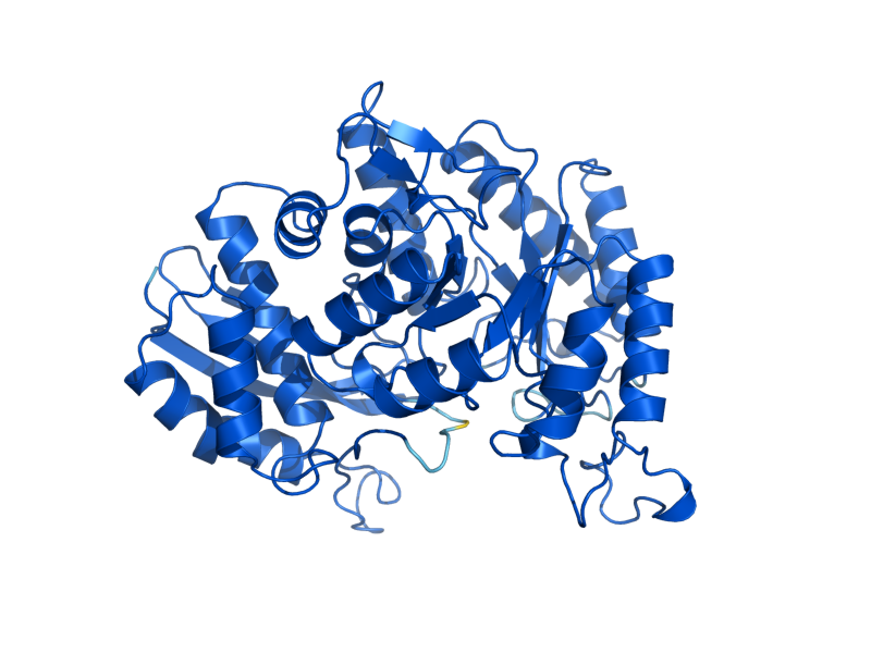 AlphaFold predicted structure of ENO2