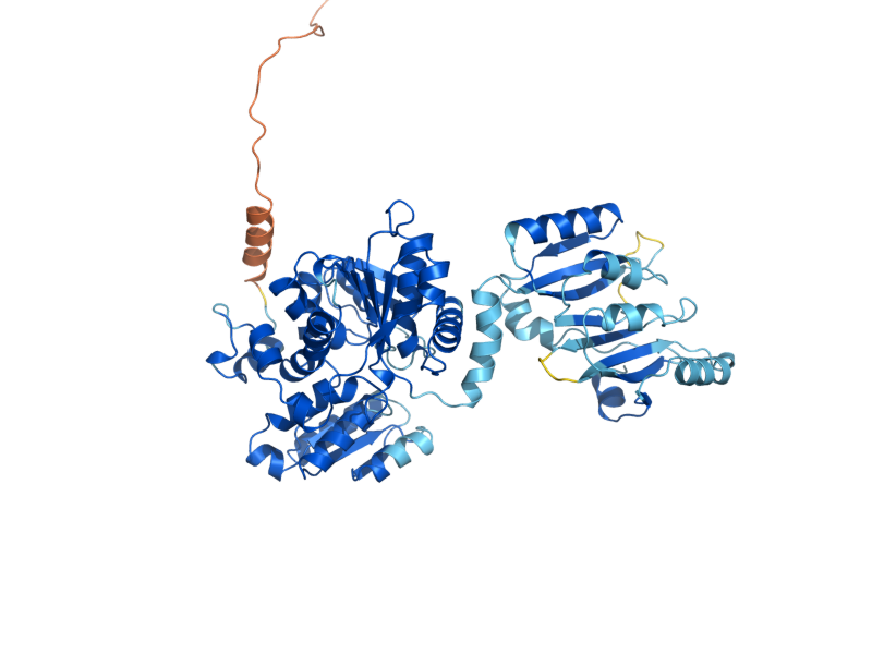 AlphaFold predicted structure of ILV1