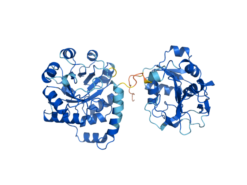 AlphaFold predicted structure of TRP3