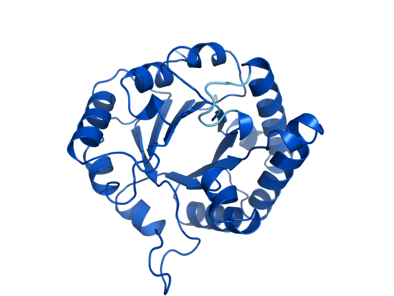 AlphaFold predicted structure of TPI1