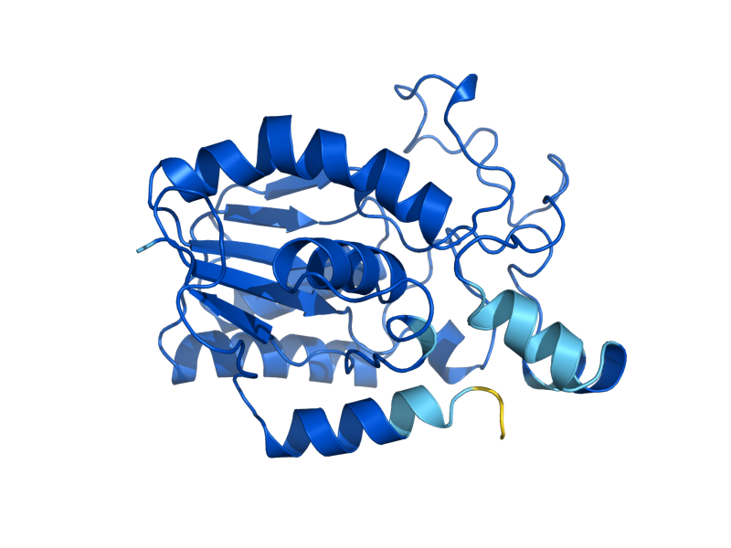 AlphaFold predicted structure of GPM1
