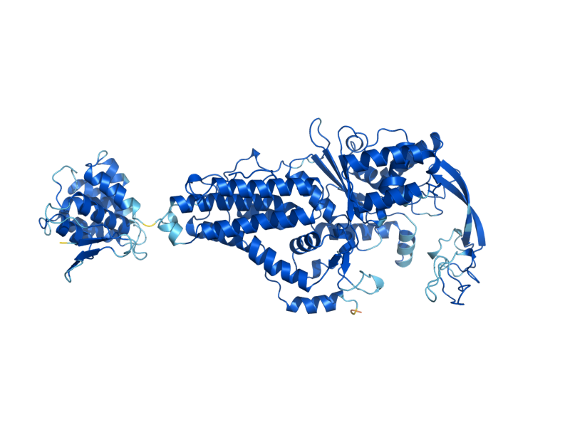 AlphaFold predicted structure of MES1