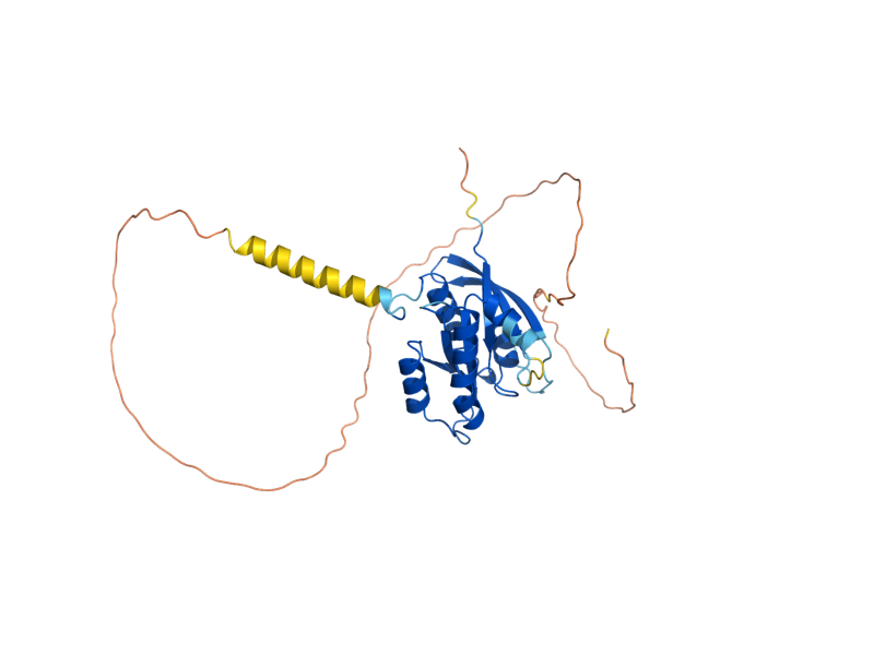AlphaFold predicted structure of RAS1