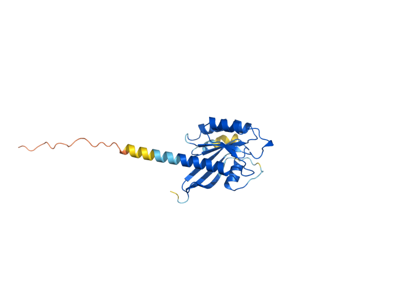 AlphaFold predicted structure of YPT1